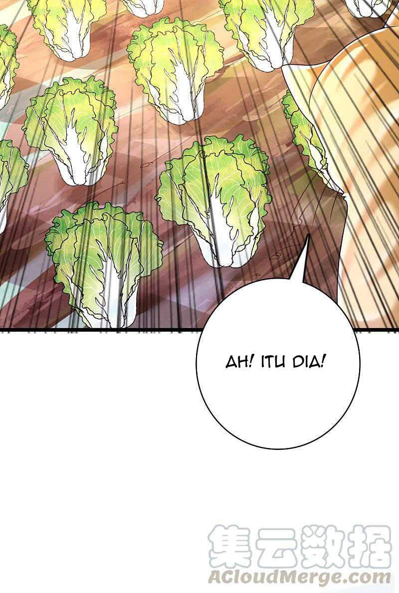 Science And Technology Fairy Chapter 19 - halaman 29