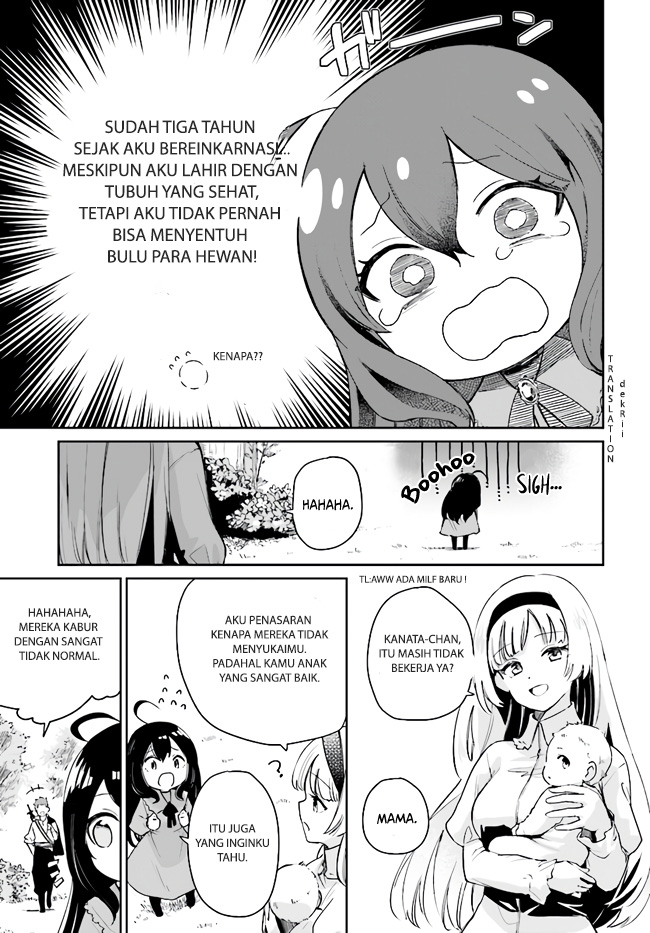 Seijo-sama? Iie, Toorisugari no Mamonotsukai desu!: Zettai Muteki no Seijo wa Mofumofu to Tabi wo Suru Chapter 1 - halaman 23