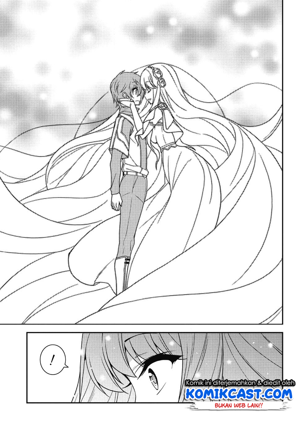 Seirei Gensouki (Minazuki Futago) Chapter 20 - halaman 18