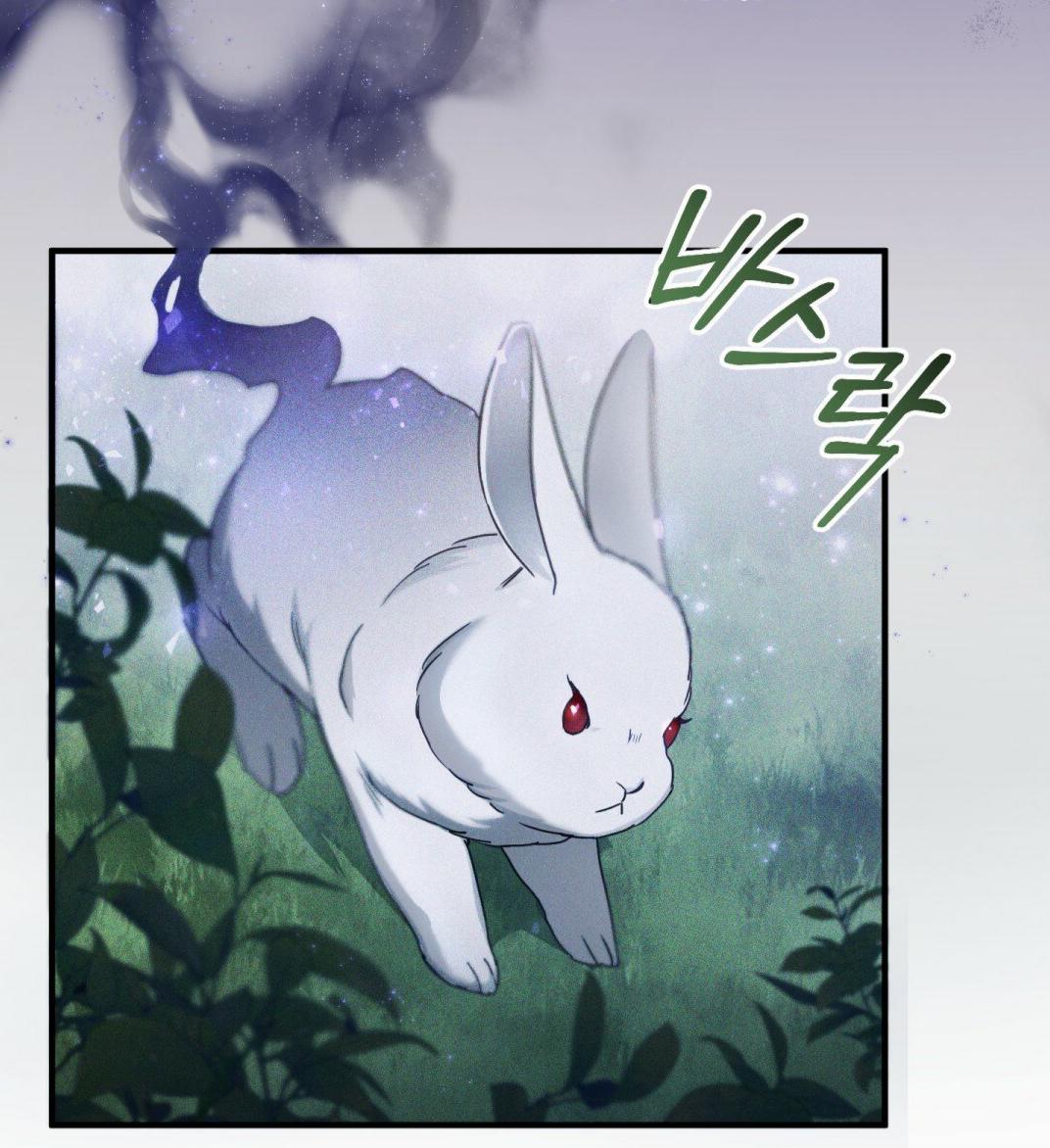 Shadowless Night Chapter 4 - halaman 8