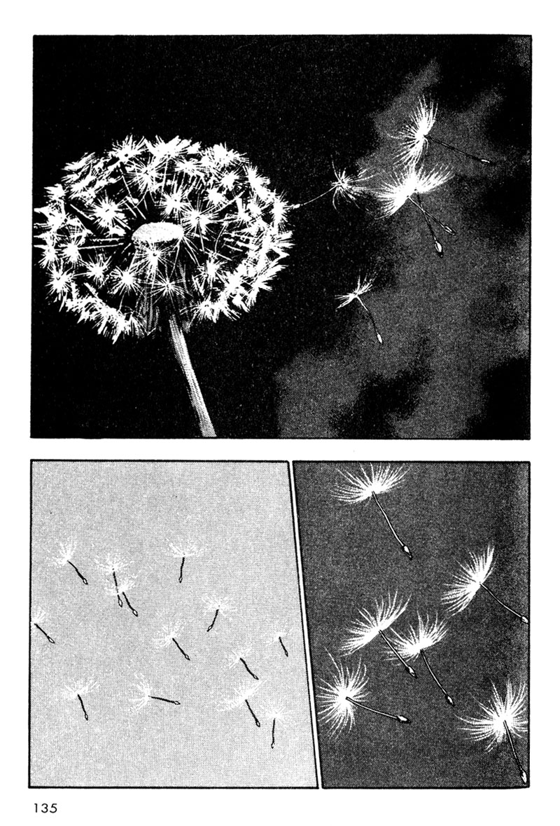 Shamo Chapter 17 - halaman 14