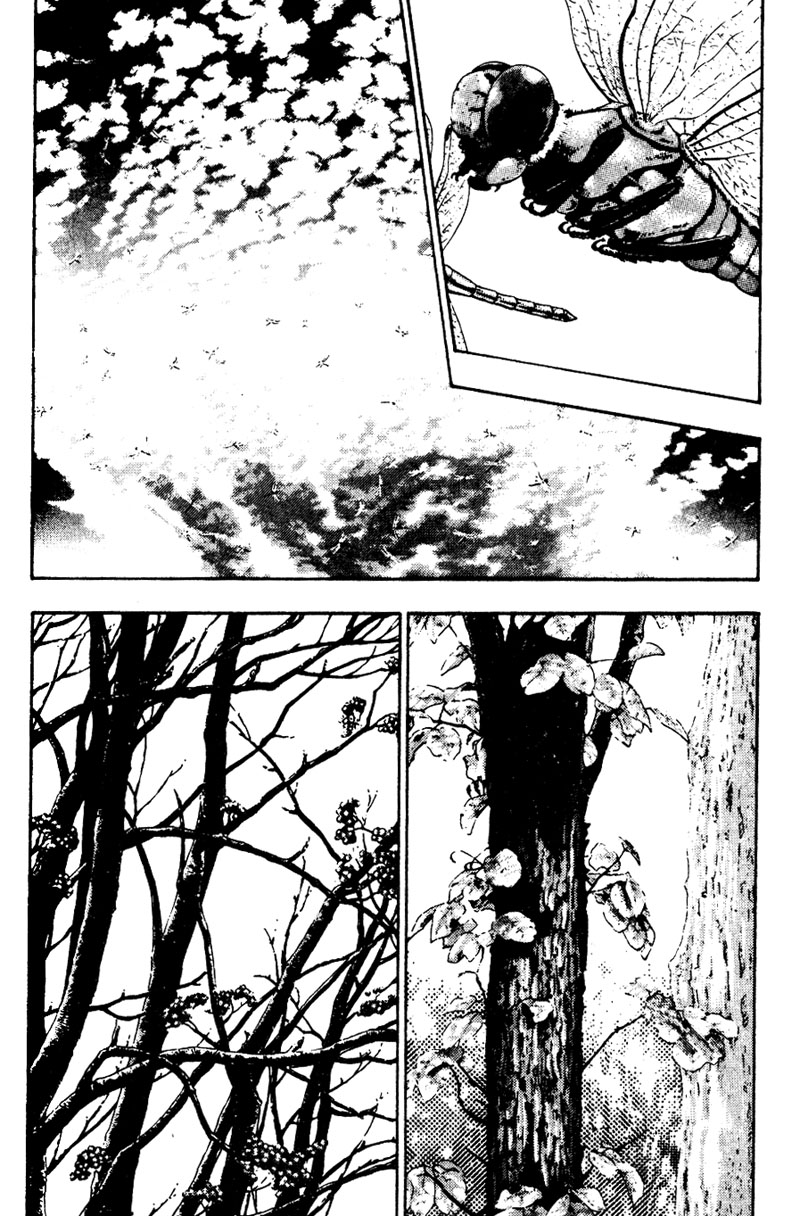Shamo Chapter 17 - halaman 5