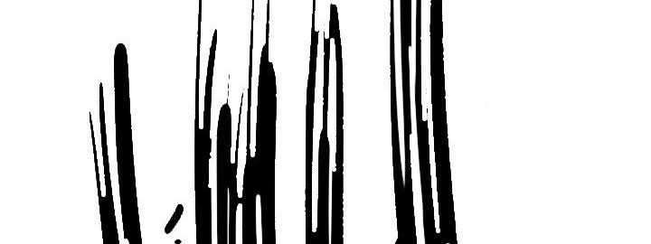 Shark Chapter 183 - halaman 18