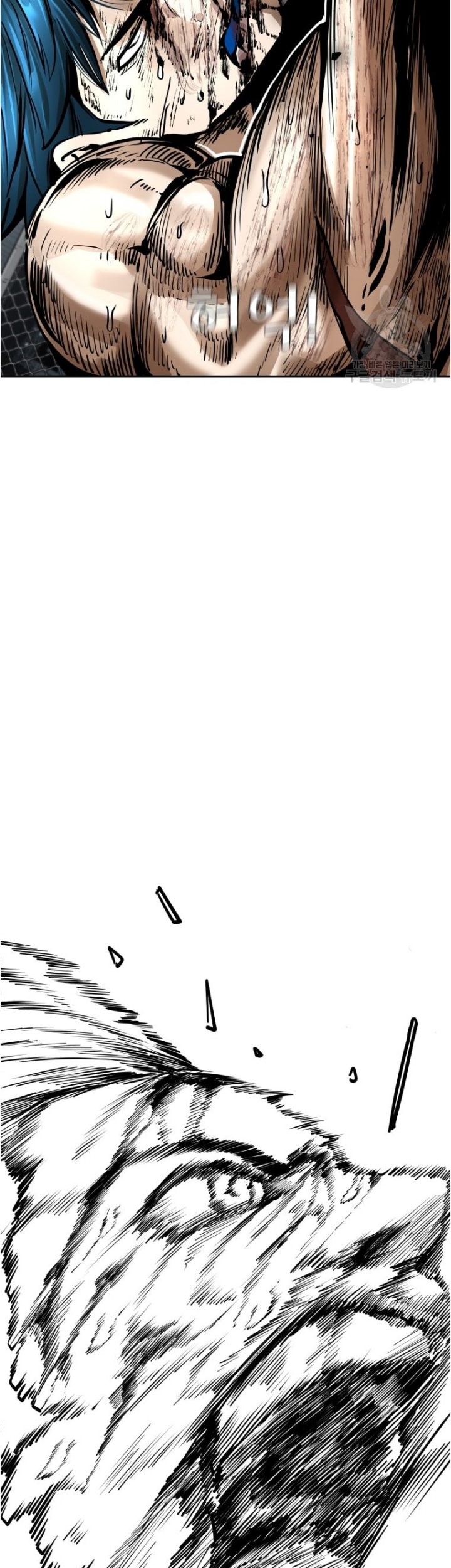 Shark Chapter 282 - halaman 65