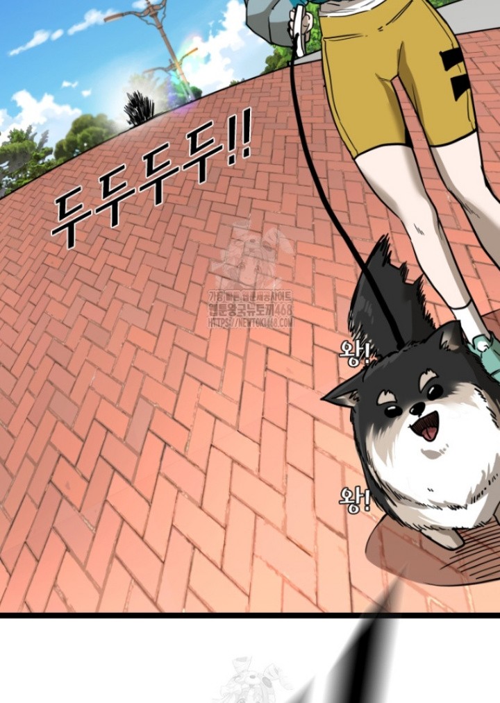 Shark Chapter 371 - halaman 13