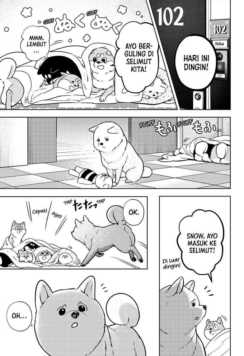 Shibatsuki Bukken Chapter 10 - halaman 20