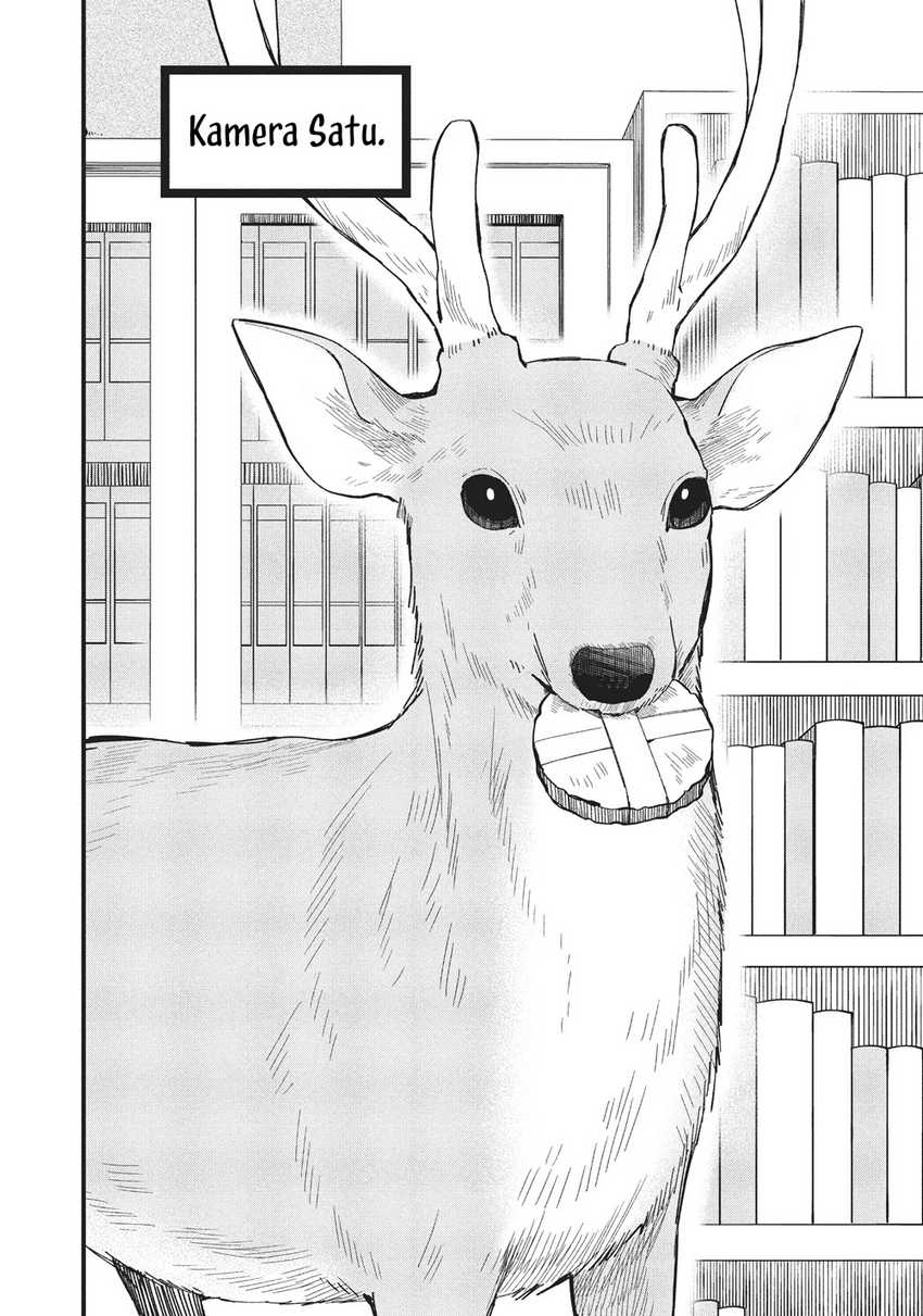 Shikanoko Nokonoko Koshitantan Chapter 17 - halaman 4