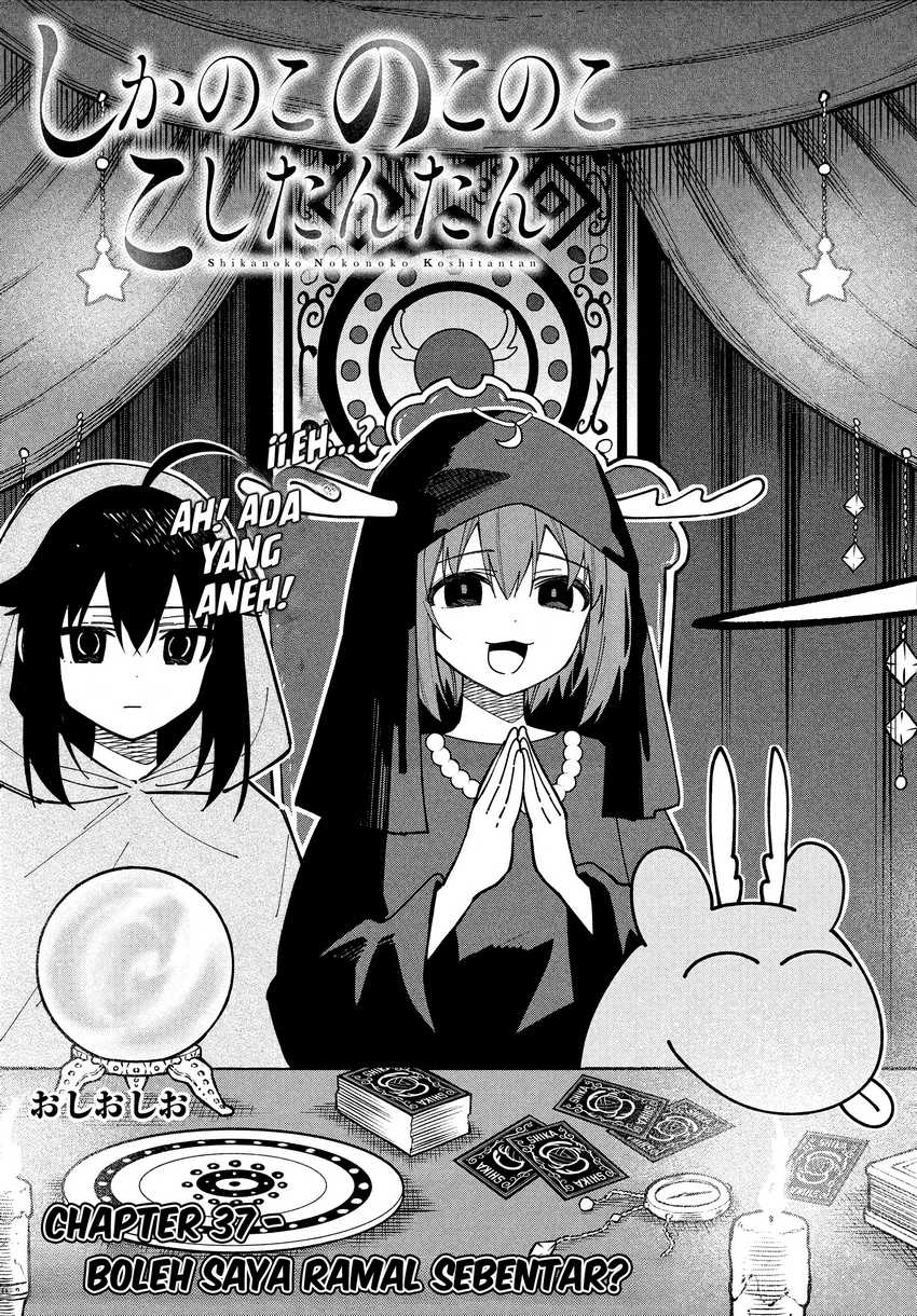 Shikanoko Nokonoko Koshitantan Chapter 37 - halaman 4