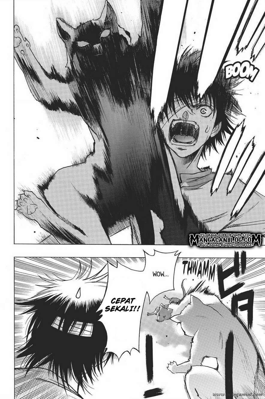 Shingeki no Kyojin – Before the Fall Chapter 13.2 - halaman 6