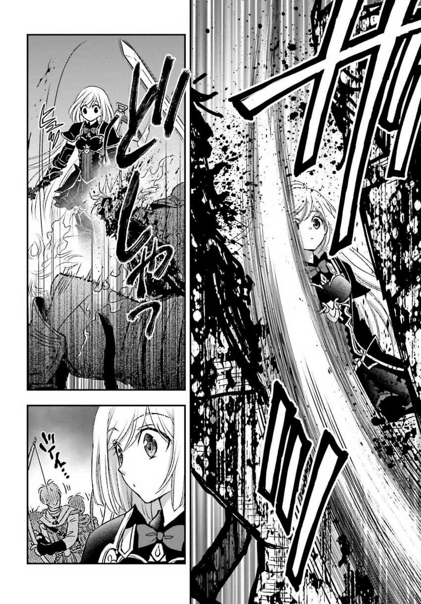 Shinigami ni Sodaterareta Shoujo wa Shikkoku no Tsurugi wo Mune ni Idaku Chapter 33.5 - halaman 9