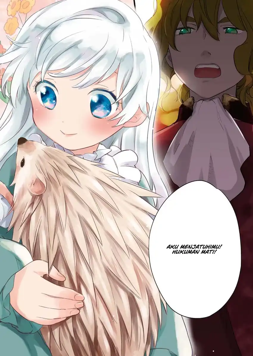 Shinimodori Reijou no Karisome Kekkon: Nidome no Jinsei wa Kimajime Shougun to Seijuu Mofumofu Chapter 1 - halaman 5