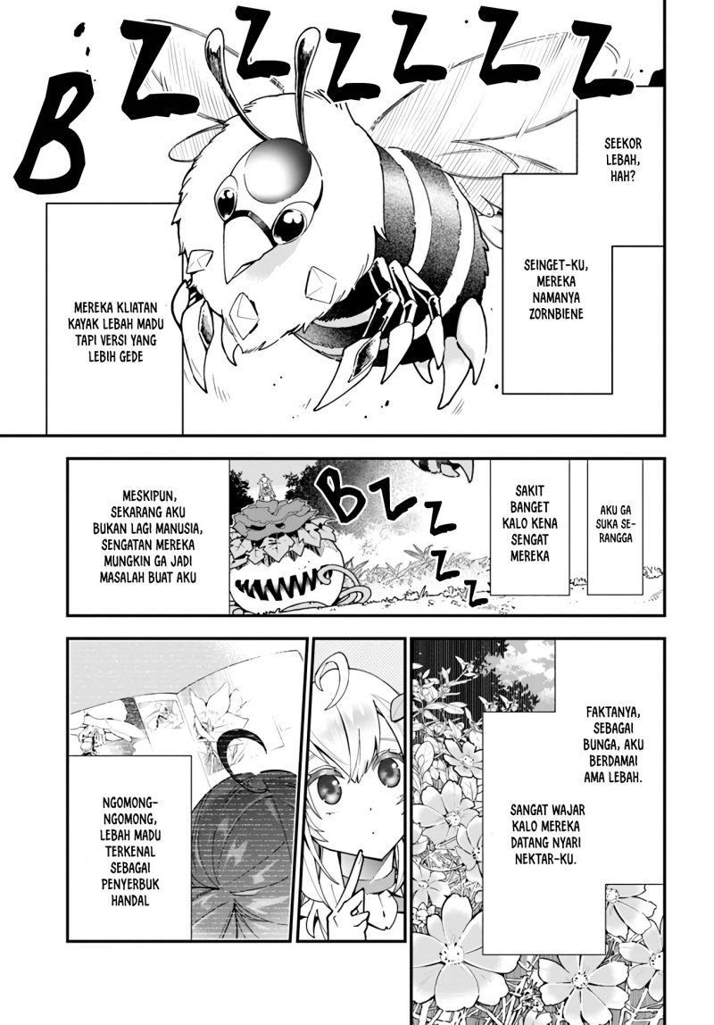 Shokubutsu Monster Musume Nikki Chapter 2 - halaman 10