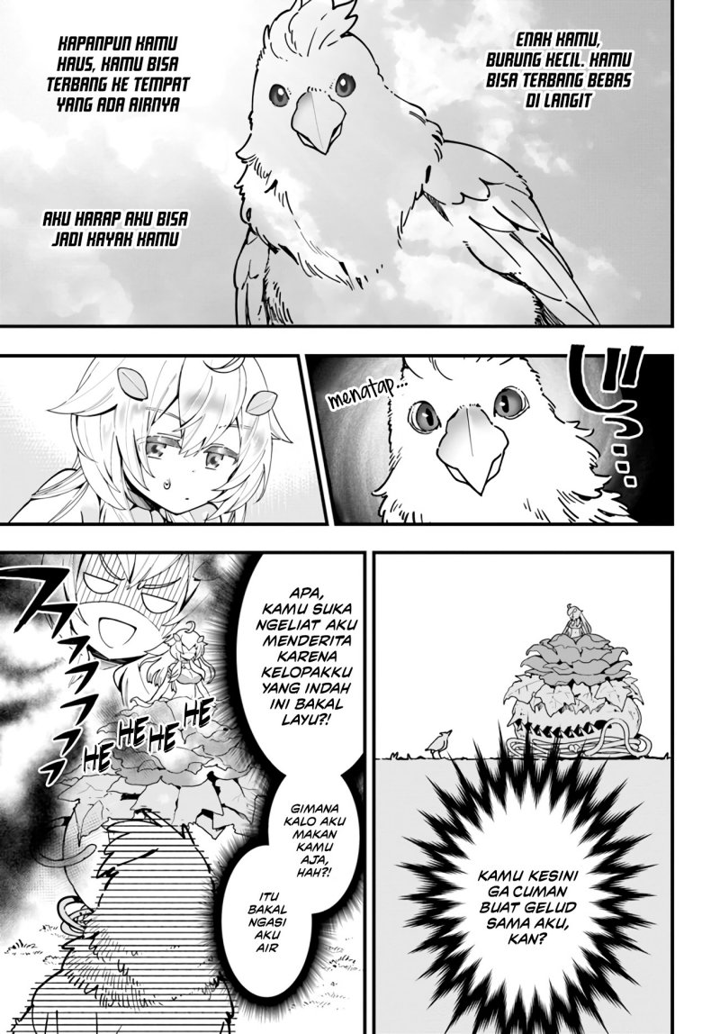 Shokubutsu Monster Musume Nikki Chapter 3 - halaman 16