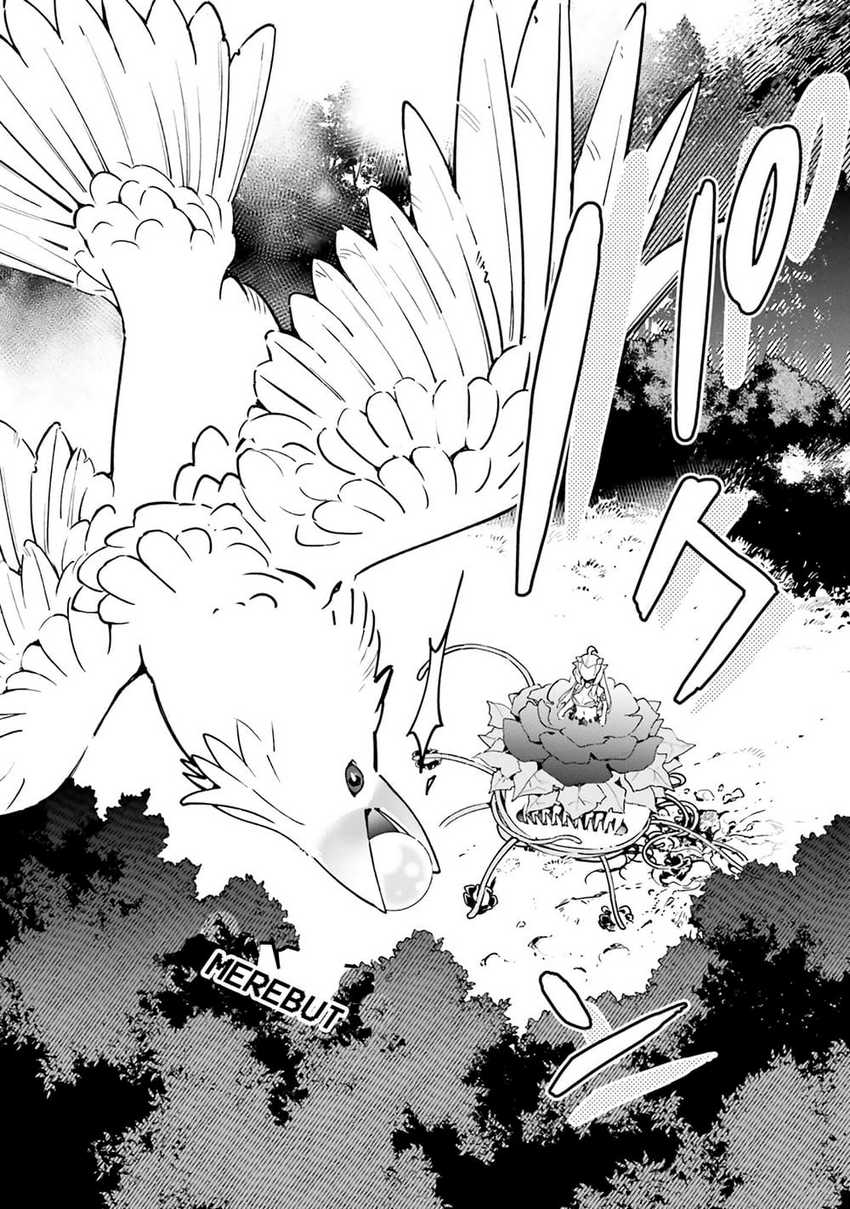 Shokubutsu Monster Musume Nikki Chapter 6 - halaman 22