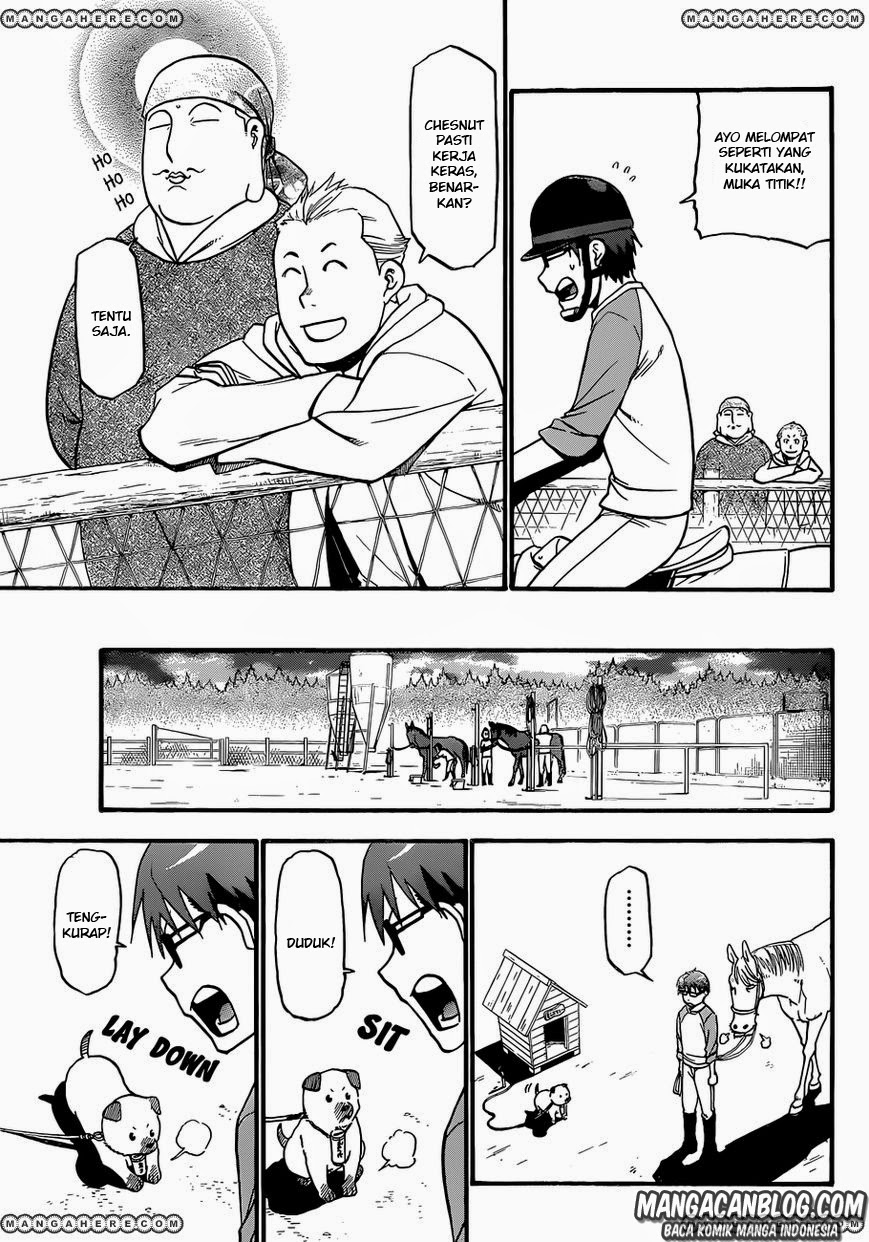 Shokugeki no Souma Chapter 243 - halaman 15