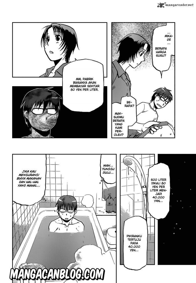 Shokugeki no Souma Chapter 262 - halaman 17