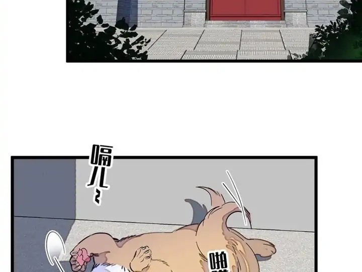 Sijin Chapter 197 - halaman 12