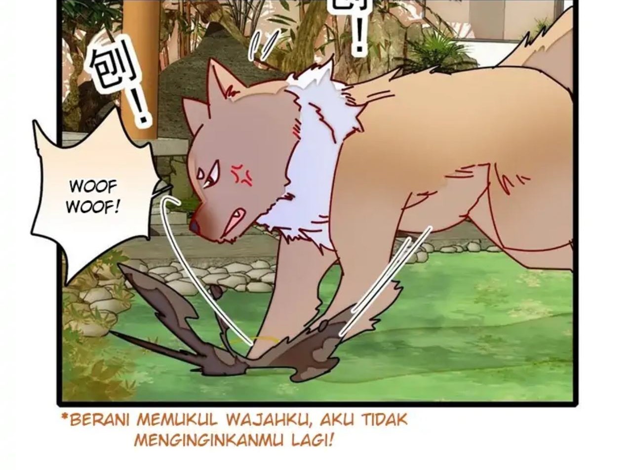 Sijin Chapter 260 - halaman 26