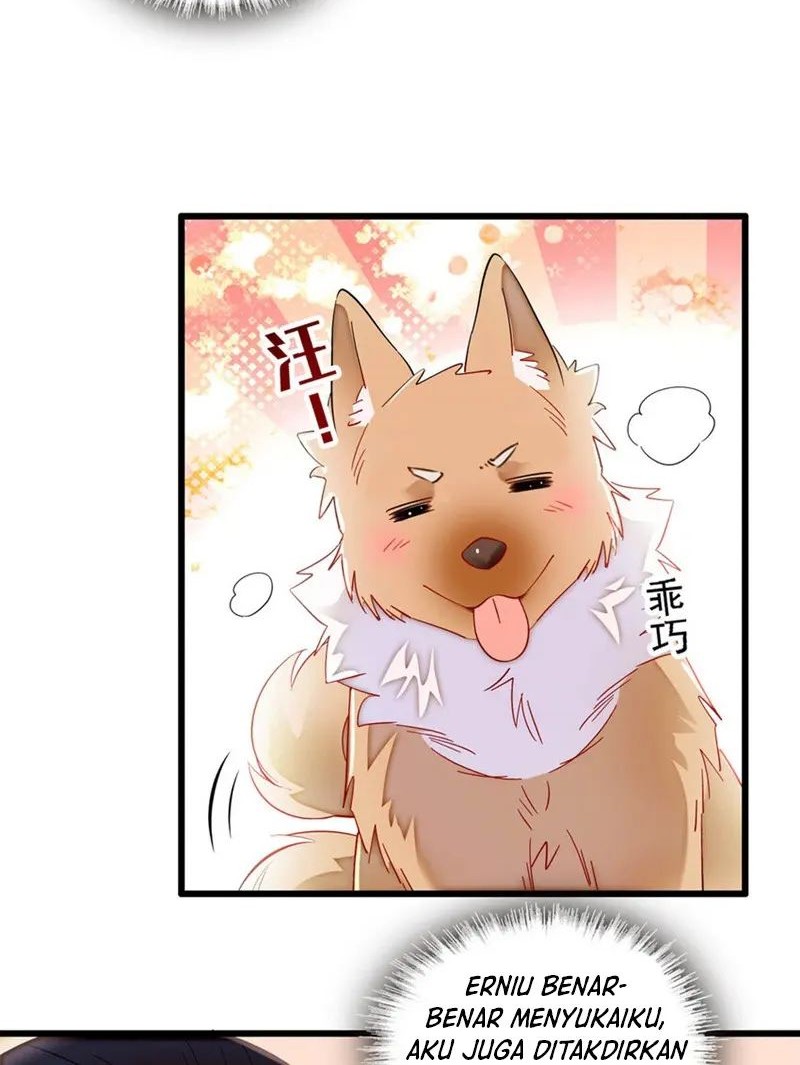 Sijin Chapter 329 - halaman 16