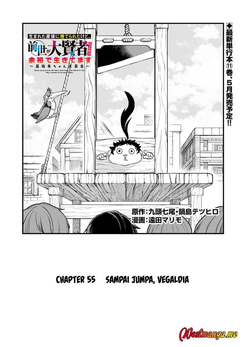 Since My Previous Life Was A Wise Man I Can Afford To Live Chapter 55 - halaman 2