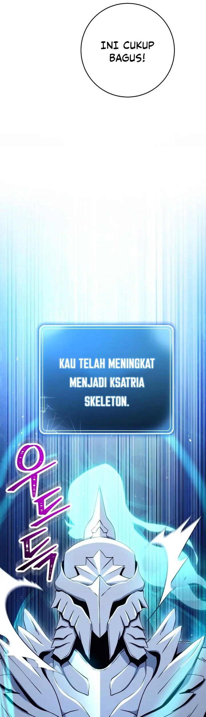 Skeleton Soldier Couldn’t Protect the Dungeon Chapter 199 - halaman 11