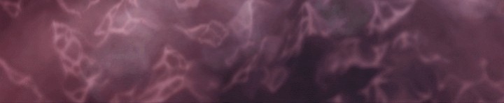 Skeleton Soldier Couldn’t Protect the Dungeon Chapter 217 - halaman 38