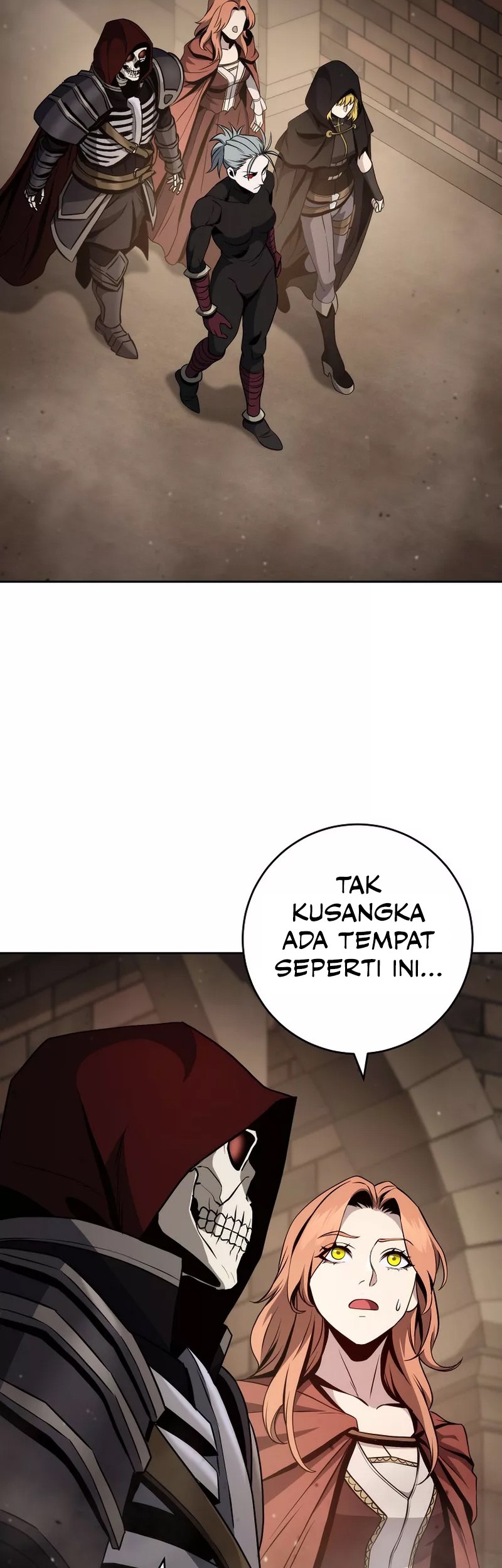 Skeleton Soldier Couldn’t Protect the Dungeon Chapter 256 - halaman 24