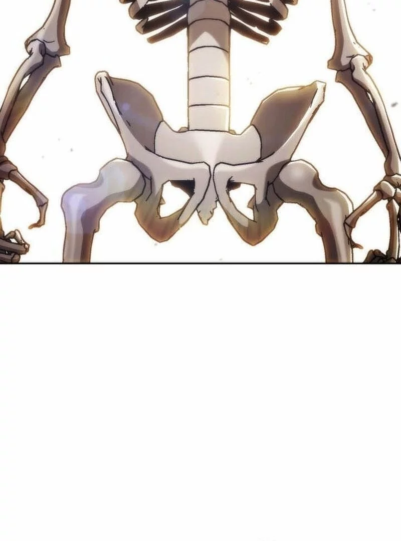 Skeleton Soldier Couldn’t Protect the Dungeon Chapter 347 - halaman 46