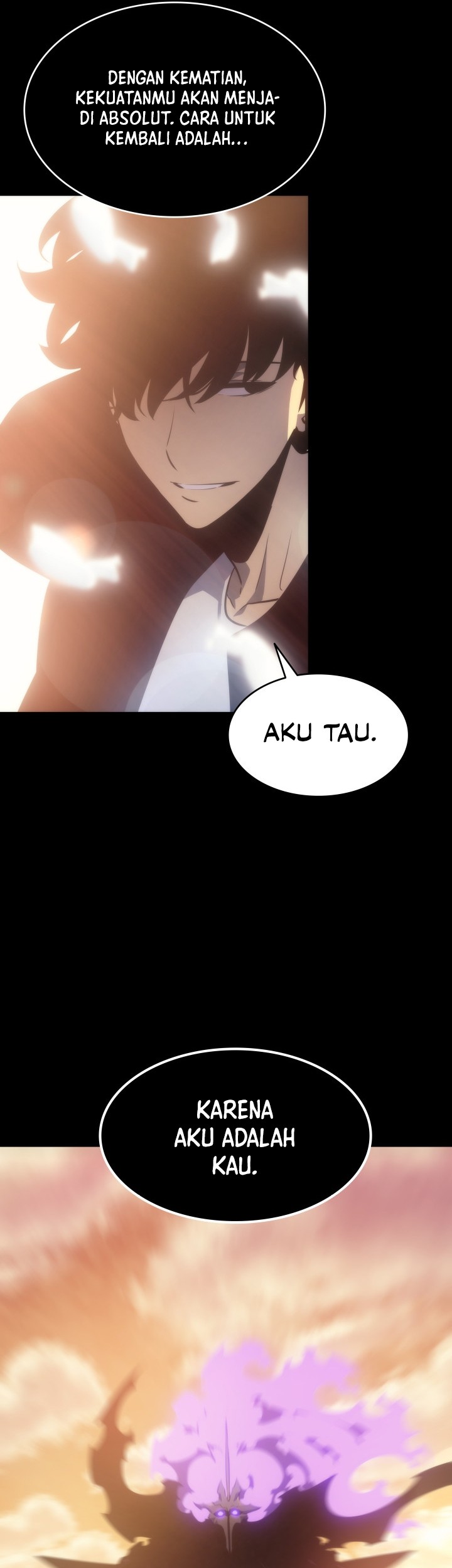Solo Leveling Chapter 163 - halaman 74
