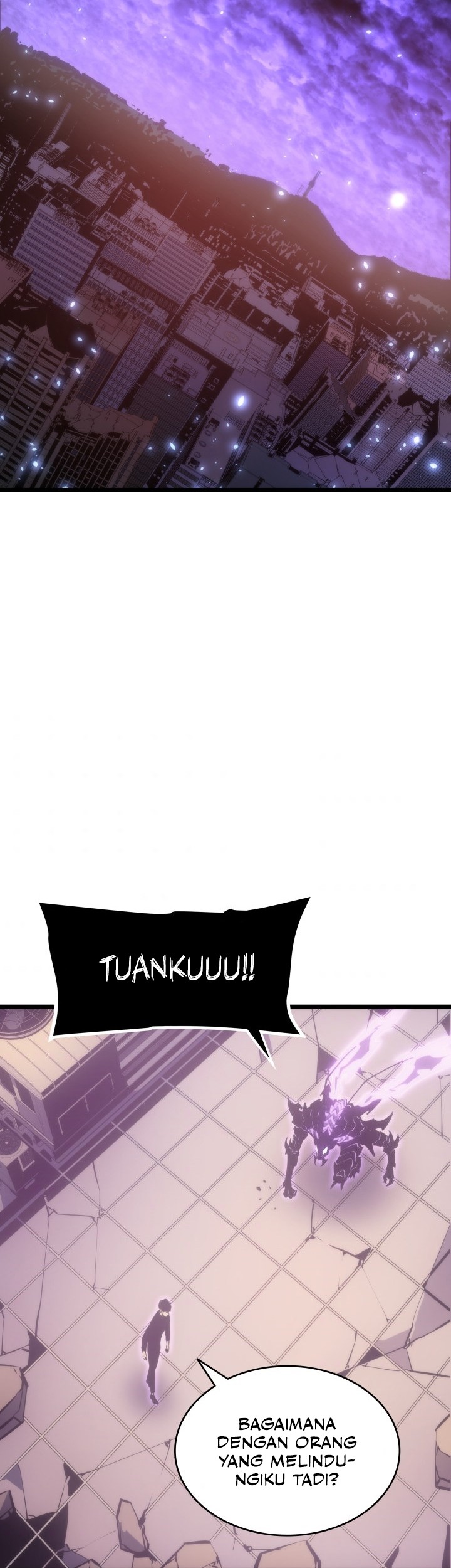 Solo Leveling Chapter 165 - halaman 78