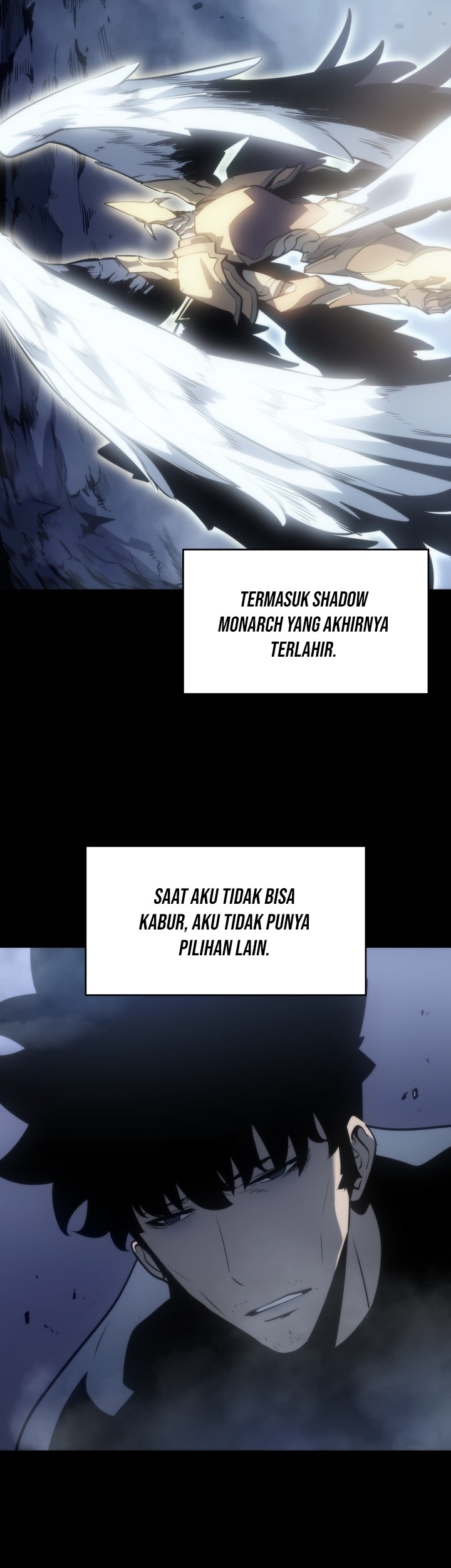 Solo Leveling Chapter 166 - halaman 8