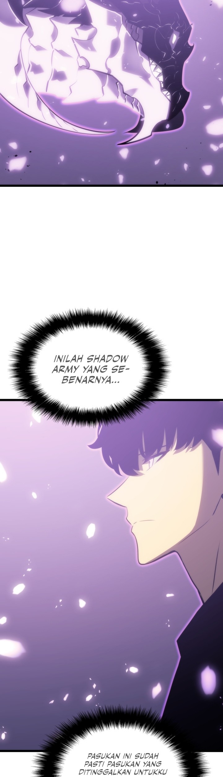 Solo Leveling Chapter 167 - halaman 27