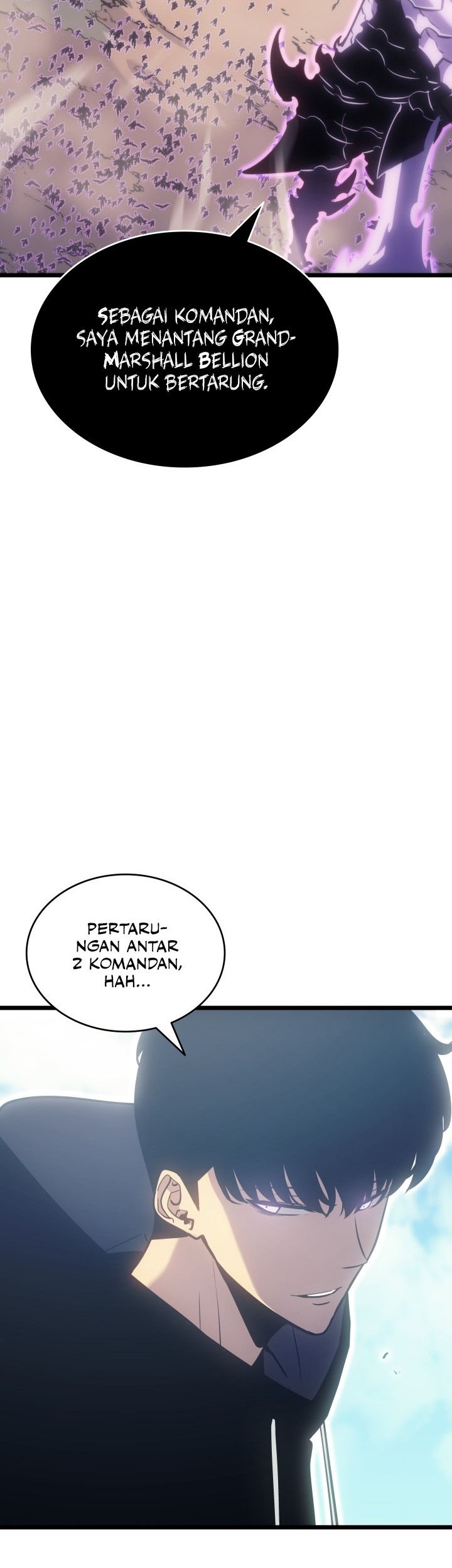 Solo Leveling Chapter 167 - halaman 48