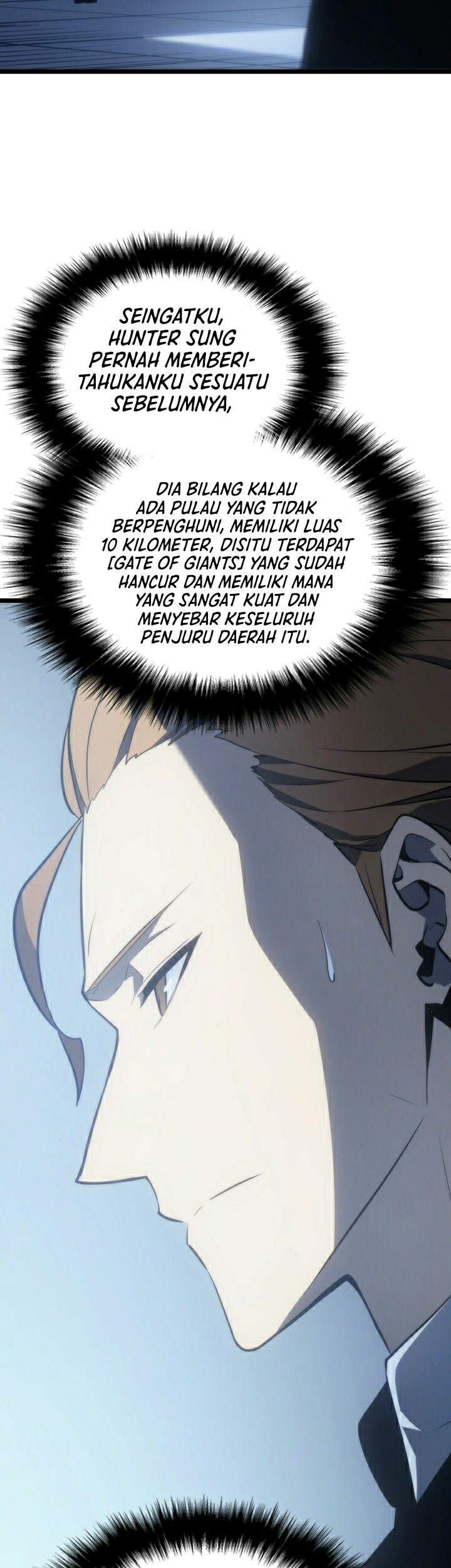 Solo Leveling Chapter 174 - halaman 22