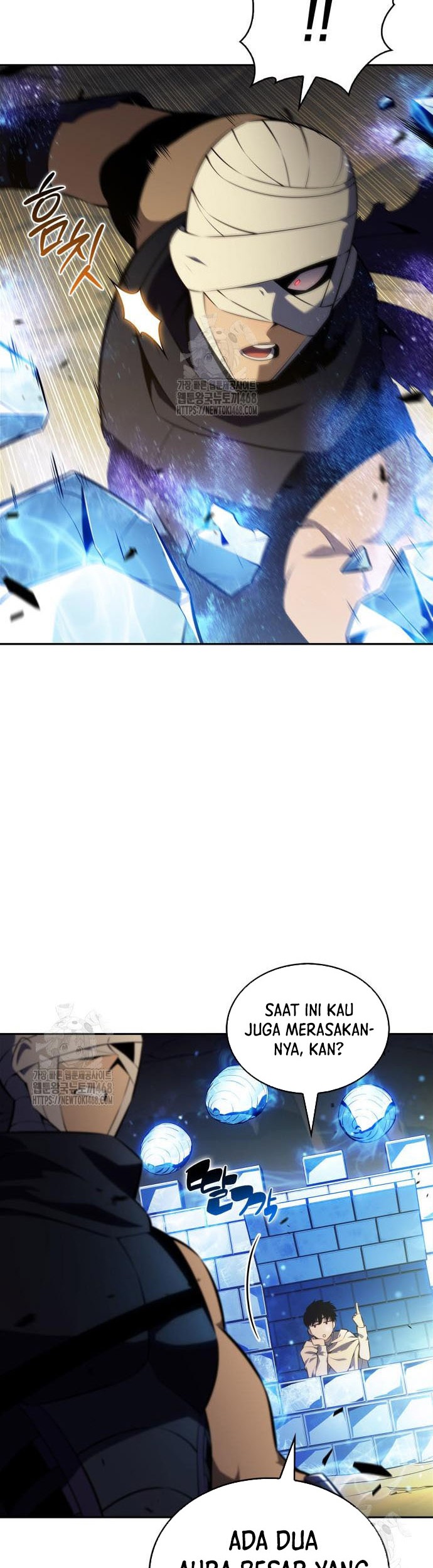 Solo Max-Level Newbie Chapter 222 - halaman 2
