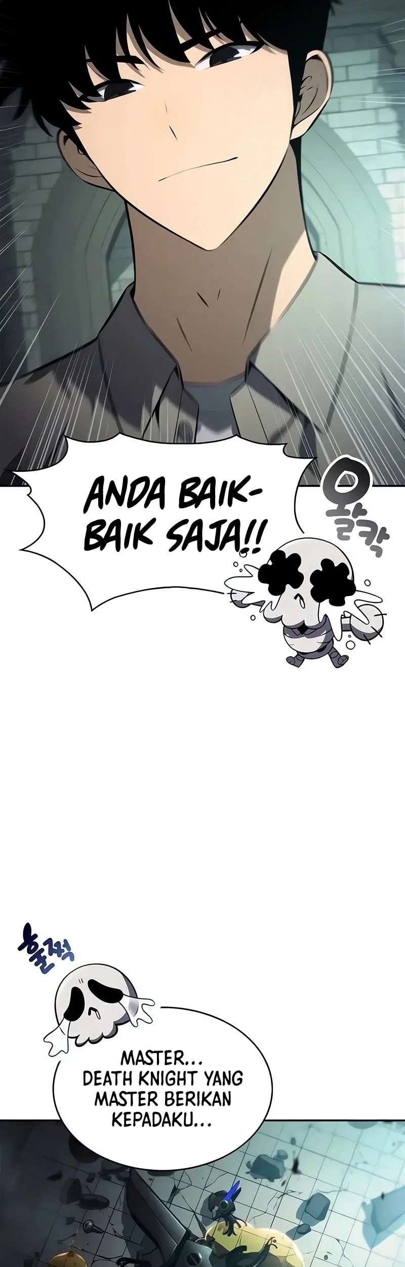 Solo Max-Level Newbie Chapter 255 - halaman 26