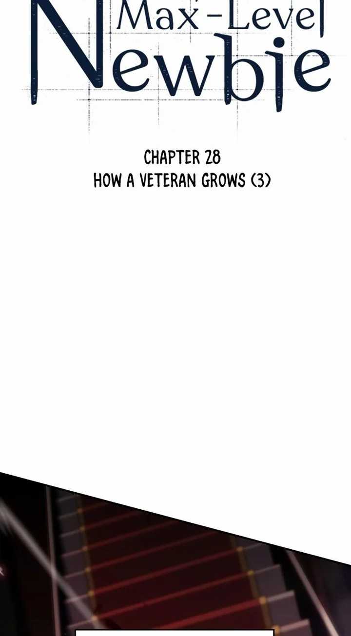 Solo Max-Level Newbie Chapter 28 - halaman 11