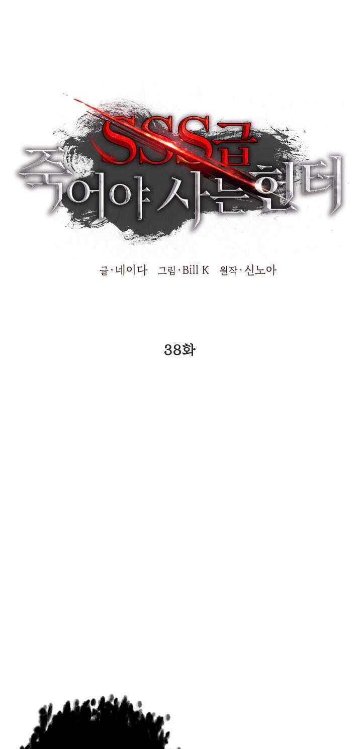 SSS-Class Suicide Hunter Chapter 38 - halaman 28
