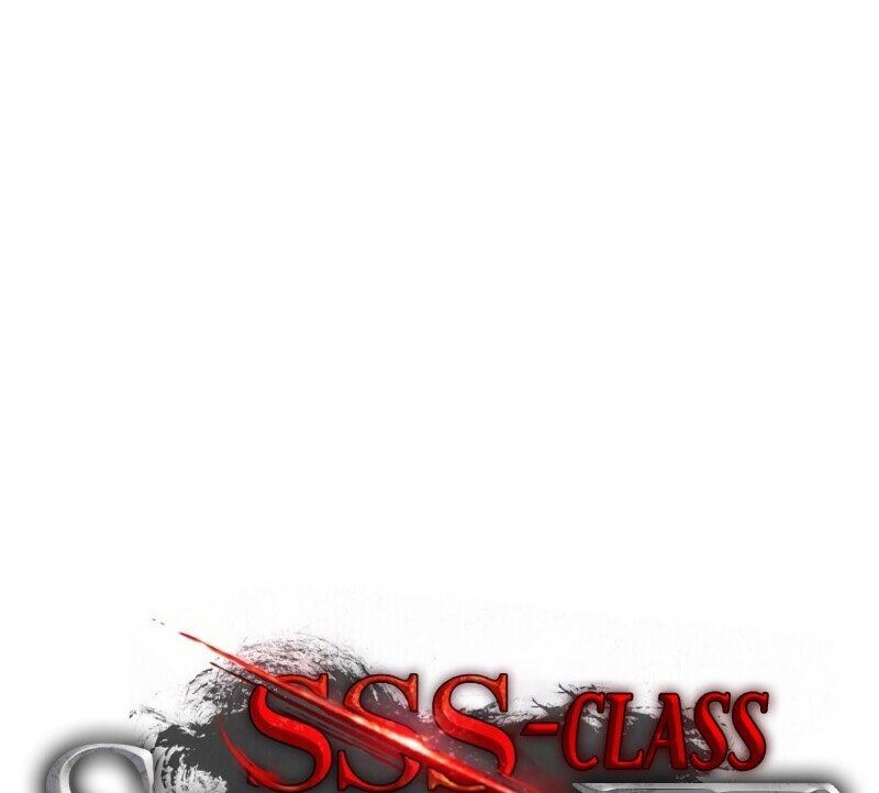 SSS-Class Suicide Hunter Chapter 41 - halaman 43