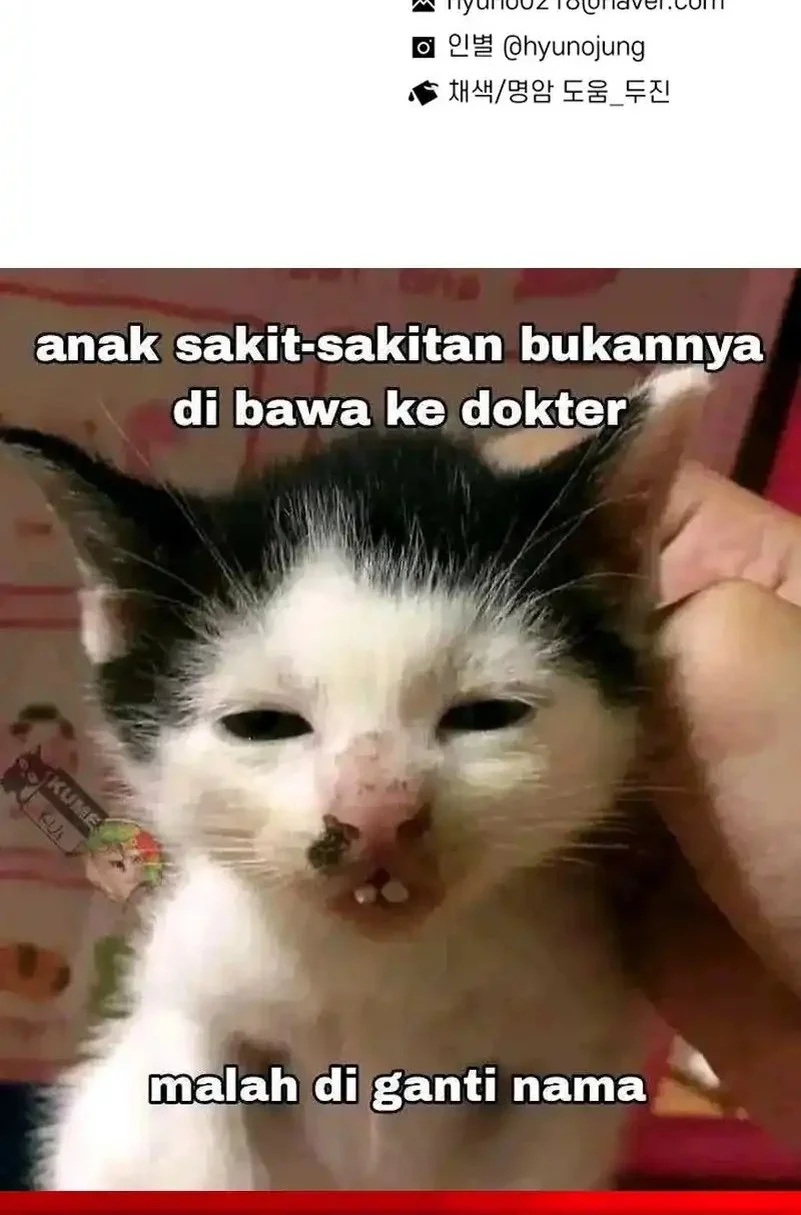 Star Ginseng Store Chapter 201 - halaman 84