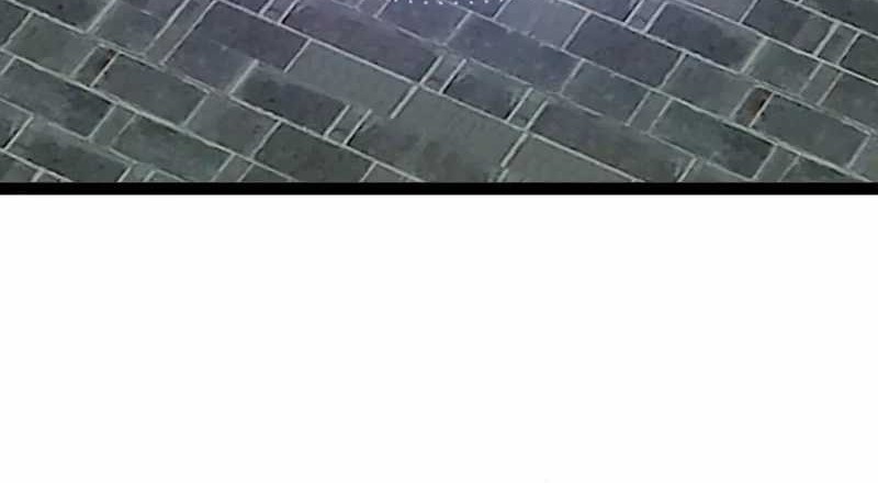 Starting From Maximum Charm Point Chapter 116 - halaman 14