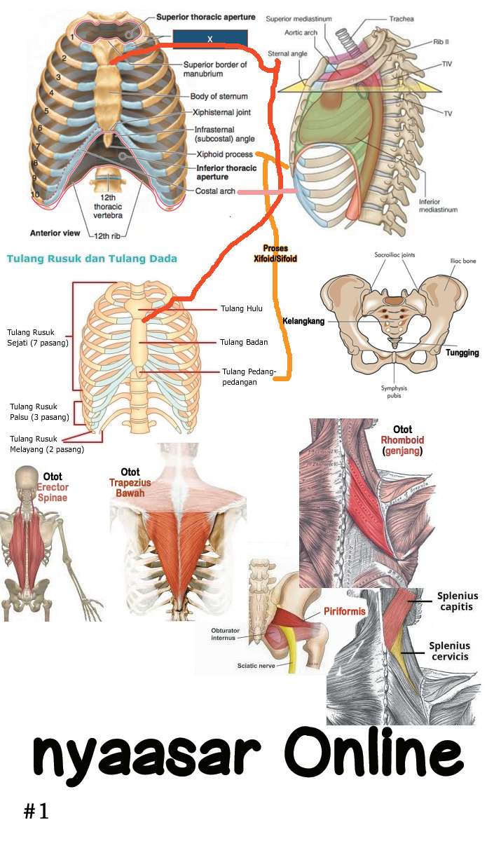 Stretch Chapter 16 - halaman 11