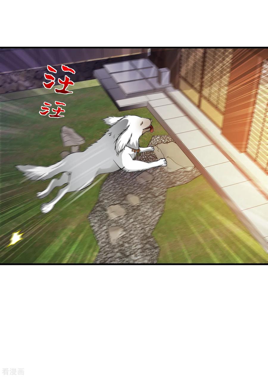 Strongest Divine Doctor Mixed City Chapter 171 - halaman 27