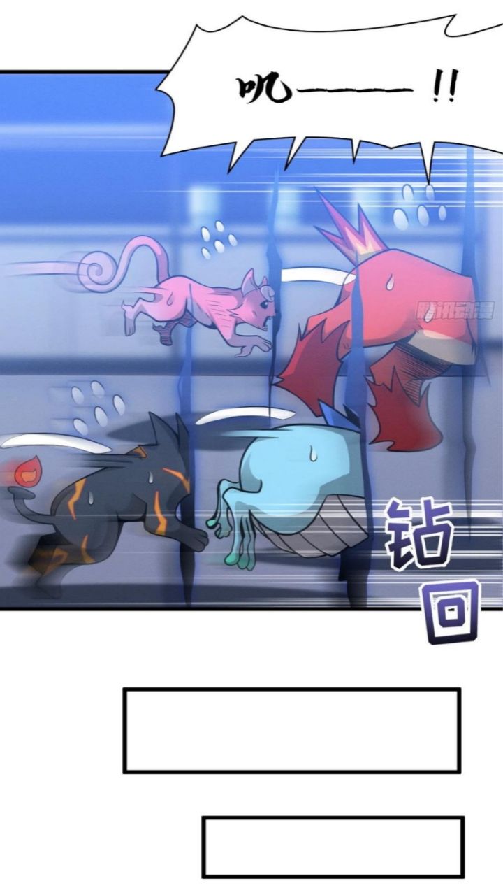 Super God Pet Shop Chapter 40 - halaman 31