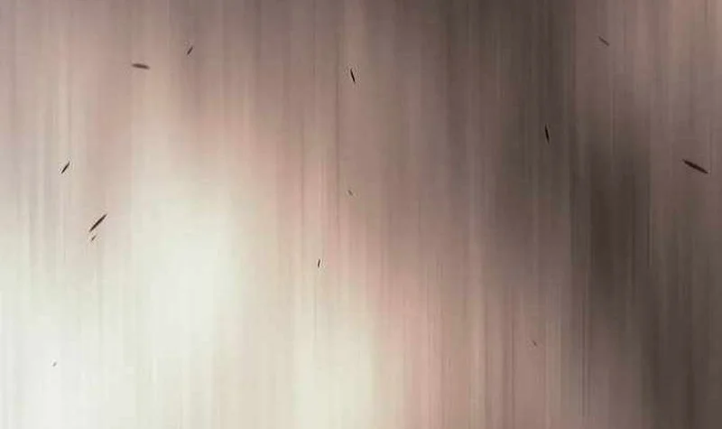 Superhuman Era Chapter 175 - halaman 26