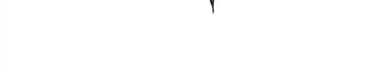 Supernova Chapter 11 - halaman 394