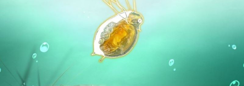 Surviving as a Fish Chapter 5 - halaman 45
