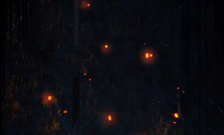 Sword Fanatic Wanders Through The Night Chapter 108 - halaman 18