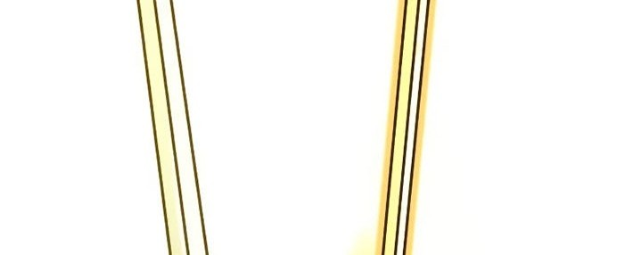 Sword Fanatic Wanders Through The Night Chapter 43 - halaman 47