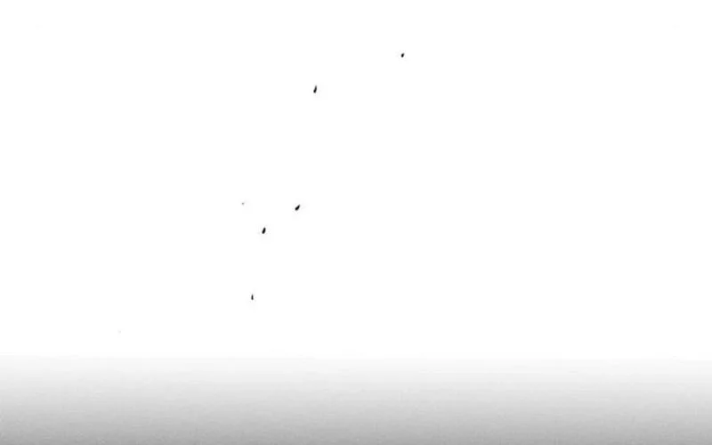 Tears on a Withered Flower Chapter 17 - halaman 60